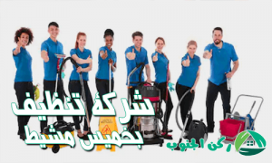 شركة تنظيف بطريب