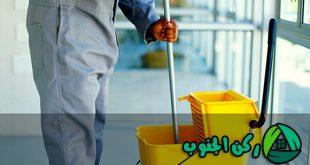 شركة تنظيف منازل بالواديين