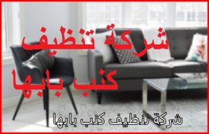 شركة تنظيف كنب بابها